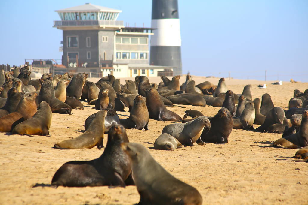 Pelican Point Lodge Walvis Bay Exterior foto